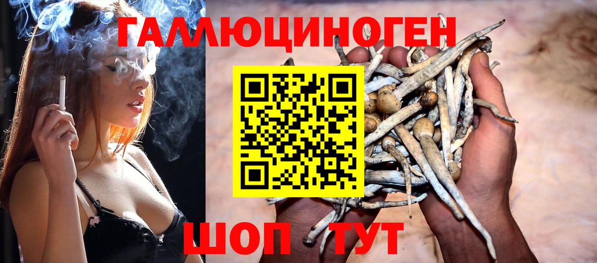 Ялуторовск  Галлюциногенные грибы GOLDEN TEACHER  Галлюциногенные грибы Psilocybe  Вход с VPN 